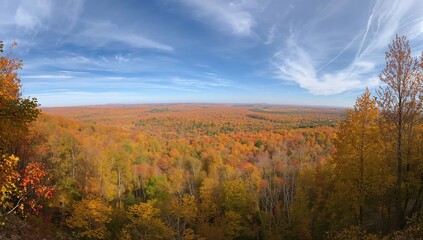 Fototapeta premium Extensive panoramic view of a vibrant fall woodland