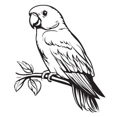 parrot on a branch