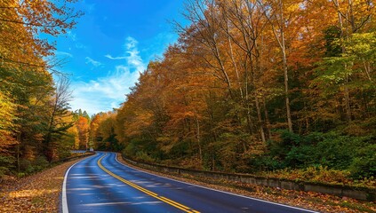 Obraz premium A scenic road winds through a vibrant fall woodland
