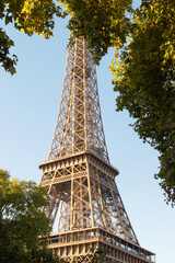 The Eiffel Tower framed by autumn trees in warm sunlight. Iconic Paris landmark surrounded by golden foliage, symbolizing romance, travel, and French elegance.