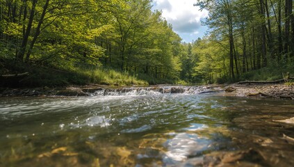 Obraz premium Pure water flowing from a natural spring in a lush woodland setting