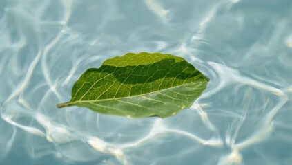 Simple and Clean Workspace Setup