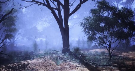 In a serene location, a dense forest appears enveloped in fog as twilight descends. Trees provide a silhouette against the soft glow, creating an atmosphere of calm mystery. - Powered by Adobe