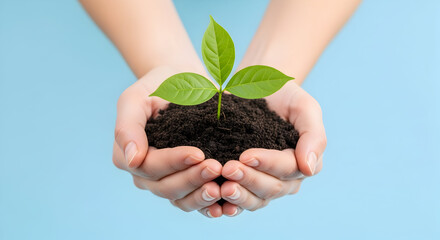 Nurturing Nature A Seedling in Caring Hands Symbolizing Growth and Hope For a Sustainable Future Embracing Eco Consciousness and Environmental Responsibility For All