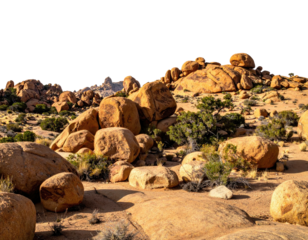 Desert landscape featuring scattered boulders, shrubs, and barren earth under sunlight