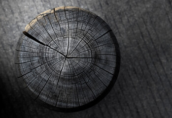 Texture of old tree stump