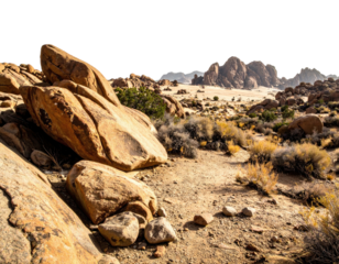 Desert landscape featuring large boulders, sparse vegetation, and distant mesas
