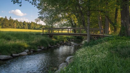 Wooden bridge over a flowing stream in a summer natural setting with trees and grass under sunlight