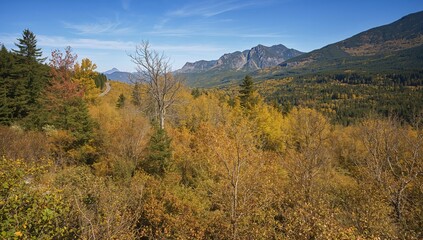 Beautiful forest landscape in the highlands