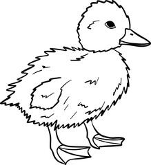Coloring page duck vector illustration for children. Easy to use and customize. Perfect for preschool and kindergarten worksheets, homeschooling materials, or fun activity books