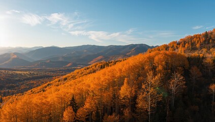 Drone aerial view showcasing vibrant yellow fall foliage with mountainous backdrop and clear sky