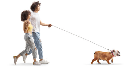 Young couple walking english bulldog