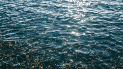 Obraz premium Ripples and reflections on a shallow water surface of a lake