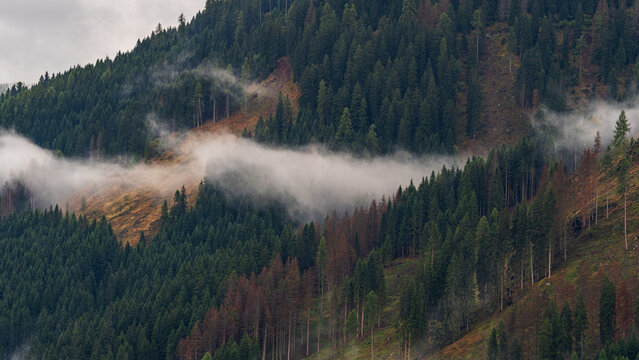 Beautiful mist-covered autumn landscapes in the Dolomites, Italy.- trees, mist, fog, and churches