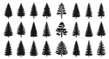 Fototapeta premium Collection of Evergreen Tree Silhouettes for Design Projects