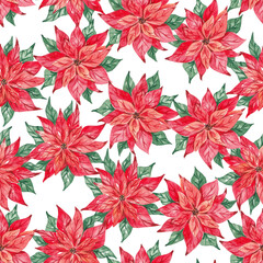 Fototapeta premium Red poinsettia repeating pattern. Bright Christmas seamless pattern hand painted with watercolor. Traditional xmas flowers. Print for textile, fabric, packaging, wrapping paper