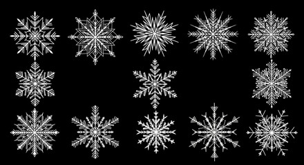 Set of Detailed Snowflakes on Black Background for Winter and Christmas Designs