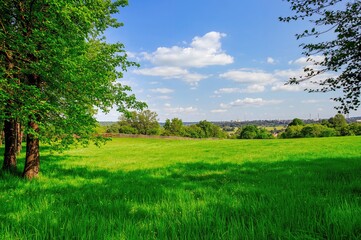 Obraz premium Verdant rural landscape during the warm season