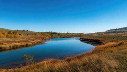 Scenic September Outdoors with Clear Skies and Beautiful Birch Trees