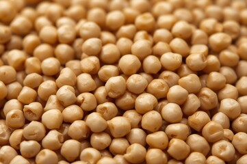 Cicer Arietinum, Also Known as Chickpeas, Serve as Ingredients in Curries and Numerous Processed Dishes