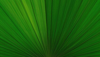 Obraz premium Detailed view of a vibrant green palm leaf texture from a tropical ornamental plant, symbolizing summer and vacation vibes.