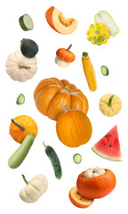 Fresh pumpkins and other vegetables of gourd family falling against on white background