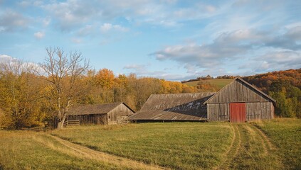 Obraz premium Countryside Homestead with Barn Surrounded by Trees and Fields