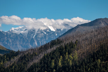 Scenery of Snowy Mountains and Forests on the Qinghai Tibet Plateau
