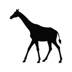 Graceful Giraffe Silhouette Strolling Serenely Across the White Expanse of the Image, giraffe walking silhouette vector illustration