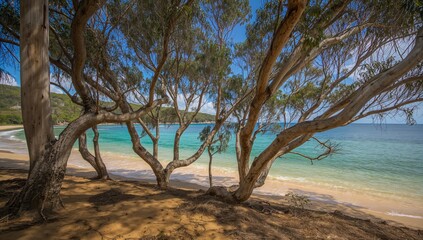 Coastal Trees by the Ocean Shoreline