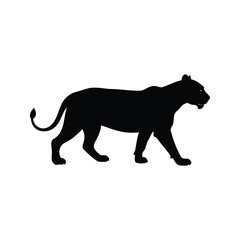 Powerful Panther Silhouette Walking Calmly on a White Background in Vector Format, lioness hunting silhouette vector illustration