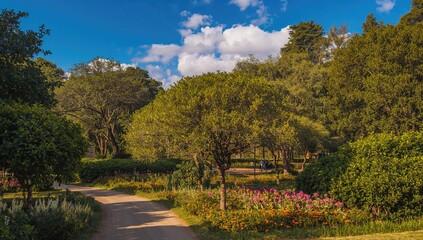 Obraz premium Trail surrounded by lush greenery in an urban park setting