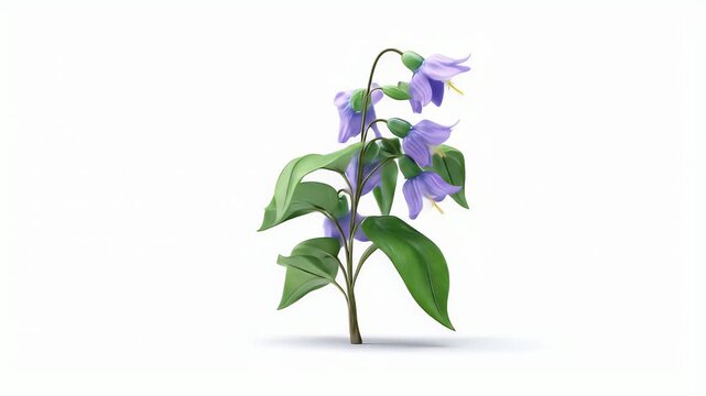 Delicate Purple Flowers with Green Leaves on White Background.