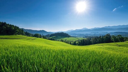Obraz premium Terraced Rice Fields in a Mountainous Region