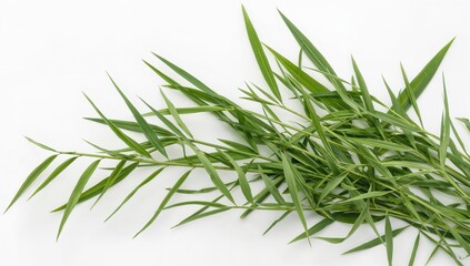 Fototapeta premium Fresh bamboo grass and Bai Ya Nang leaves from Tiliacora triandra, herbal and vegetable extracts used for diabetes treatment isolated on a white background, food, summer