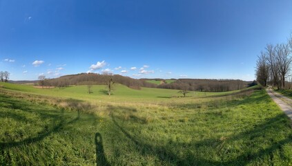 Obraz premium A broad view of sunlit grassy fields with leafless trees