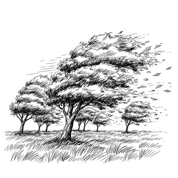 Generative ai a group of trees bending in the wind, with leaves and branches being blown away in a stylized sketch