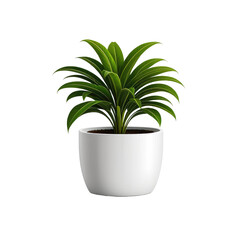Digitally rendered green plant in a white pot, isolated on black