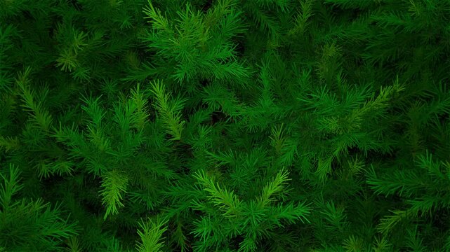 Christmas tree background. Christas branches. New Year fir tree. Xmas tree decorations background. New Year and Christmas 2026/2025. Loop animation 4K	