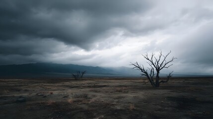 Barren desolate landscape under a dramatic heavy grey sky featuring stark dead trees and distant mountains