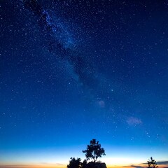 A captivating nightscape of stars, a milky way, and a silhouette of a tree