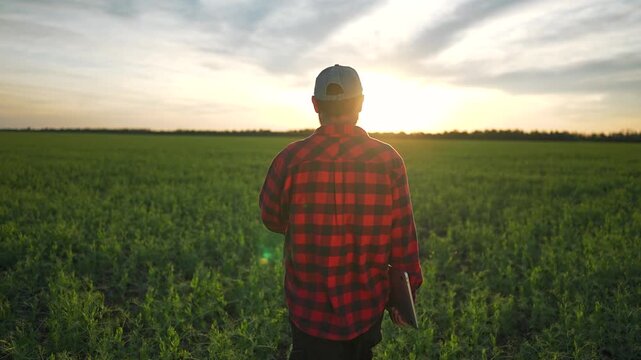 Man stands alone on green field. Farmer holds laptop close, checks grass under sunset sky. Looks ahead planning farm work. Nature scene shows farmer in moment of thought, work ahead in field.