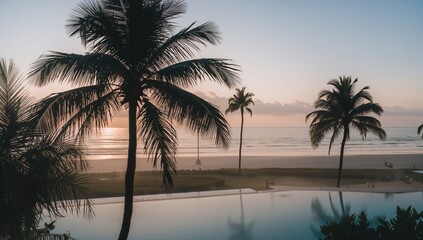 Vintage-filtered silhouette of a coconut palm tree by a hotel pool at dawn