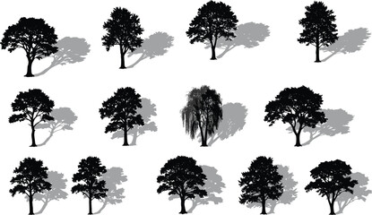 Tree silhouettes with shadows, black vector trees, deciduous and coniferous icons, willow, oak, pine, foliage design, landscape elements, cad drawing flat vector illustration © LatifunNahar