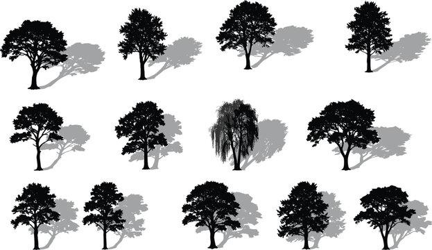 Tree silhouettes with shadows, black vector trees, deciduous and coniferous icons, willow, oak, pine, foliage design, landscape elements, cad drawing flat vector illustration