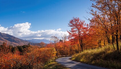 Autumnal Change of Crimson Foliage