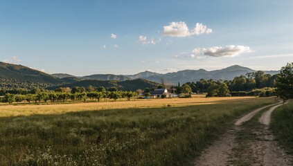 Fototapeta premium Hilly landscape with dense forest and farmland