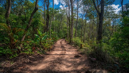 A path meandering through dense greenery