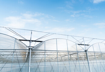 Fototapeta premium The exterior of a modern glasshouse