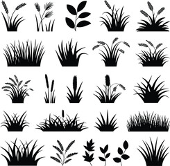 Grass silhouettes vector set, black plant icons, meadow and field foliage design, nature elements for landscape, garden, agriculture, and eco decoration